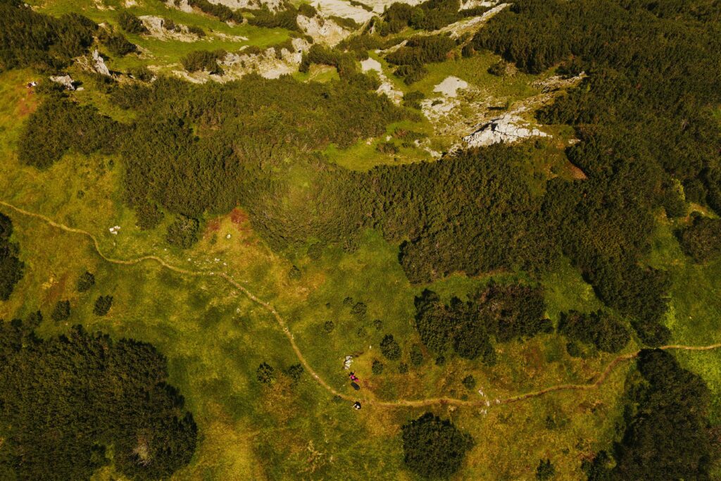 photo drone d'un paysage naturel vert